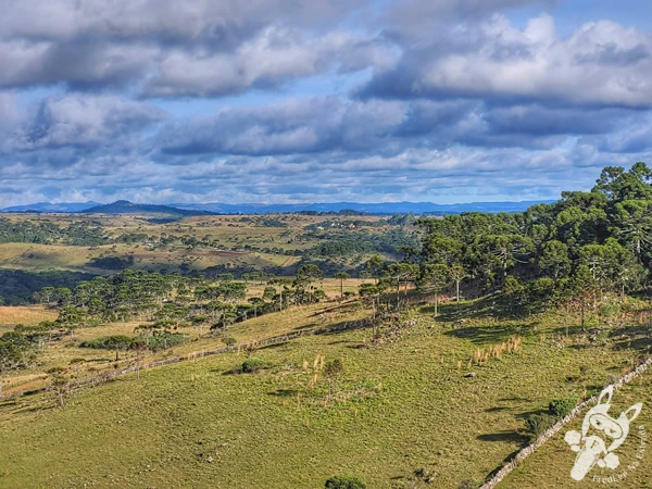 Mirante de Observação de Aves - Ponto de Observação dos Papagaios-Charão | Urupema - Santa Catarina - Brasil | FredLee Na Estrada Mirante de Observação de Aves - Ponto de Observação dos Papagaios-Charão | Urupema - Santa Catarina - Brasil | FredLee Na Estrada