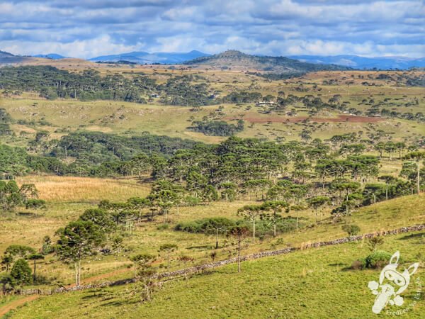 Mirante de Observação de Aves - Ponto de Observação dos Papagaios-Charão | Urupema - Santa Catarina - Brasil | FredLee Na Estrada Mirante de Observação de Aves - Ponto de Observação dos Papagaios-Charão | Urupema - Santa Catarina - Brasil | FredLee Na Estrada