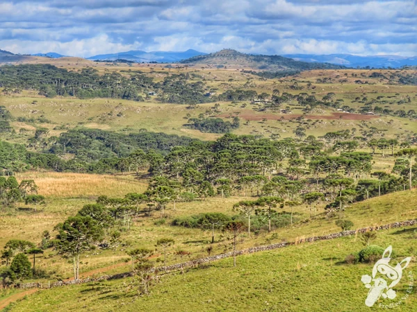 Mirante de Observação de Aves - Ponto de Observação dos Papagaios-Charão | Urupema - Santa Catarina - Brasil | FredLee Na Estrada Mirante de Observação de Aves - Ponto de Observação dos Papagaios-Charão | Urupema - Santa Catarina - Brasil | FredLee Na Estrada