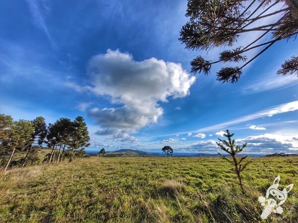 Mirante de Observação de Aves - Ponto de Observação dos Papagaios-Charão | Urupema - Santa Catarina - Brasil | FredLee Na Estrada Mirante de Observação de Aves - Ponto de Observação dos Papagaios-Charão | Urupema - Santa Catarina - Brasil | FredLee Na Estrada