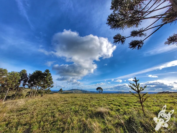 Mirante de Observação de Aves - Ponto de Observação dos Papagaios-Charão | Urupema - Santa Catarina - Brasil | FredLee Na Estrada Mirante de Observação de Aves - Ponto de Observação dos Papagaios-Charão | Urupema - Santa Catarina - Brasil | FredLee Na Estrada