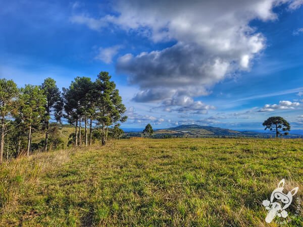 Mirante de Observação de Aves - Ponto de Observação dos Papagaios-Charão | Urupema - Santa Catarina - Brasil | FredLee Na Estrada Mirante de Observação de Aves - Ponto de Observação dos Papagaios-Charão | Urupema - Santa Catarina - Brasil | FredLee Na Estrada