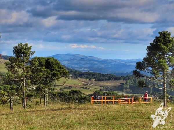 Mirante de Observação de Aves - Ponto de Observação dos Papagaios-Charão | Urupema - Santa Catarina - Brasil | FredLee Na Estrada Mirante de Observação de Aves - Ponto de Observação dos Papagaios-Charão | Urupema - Santa Catarina - Brasil | FredLee Na Estrada