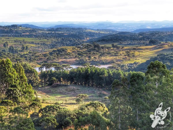 Mirante de Observação de Aves - Ponto de Observação dos Papagaios-Charão | Urupema - Santa Catarina - Brasil | FredLee Na Estrada Mirante de Observação de Aves - Ponto de Observação dos Papagaios-Charão | Urupema - Santa Catarina - Brasil | FredLee Na Estrada