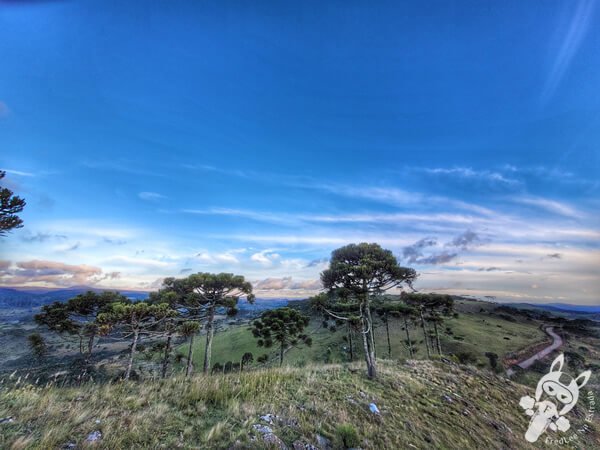 Mirante de Observação de Aves - Ponto de Observação dos Papagaios-Charão | Urupema - Santa Catarina - Brasil | FredLee Na Estrada Mirante de Observação de Aves - Ponto de Observação dos Papagaios-Charão | Urupema - Santa Catarina - Brasil | FredLee Na Estrada