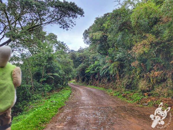 Estrada Velha de Urupema - Santa Catarina - Brasil | FredLee Na Estrada Estrada Velha de Urupema - Santa Catarina - Brasil | FredLee Na Estrada