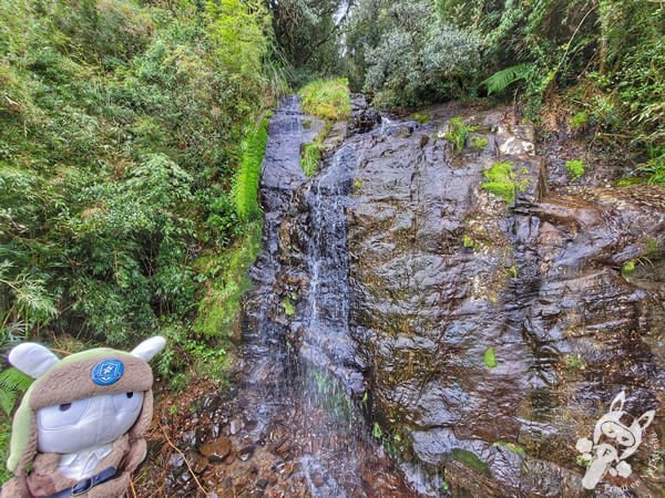 Cascata que Congela | Urupema - Santa Catarina - Brasil | FredLee Na Estrada Cascata que Congela | Urupema - Santa Catarina - Brasil | FredLee Na Estrada