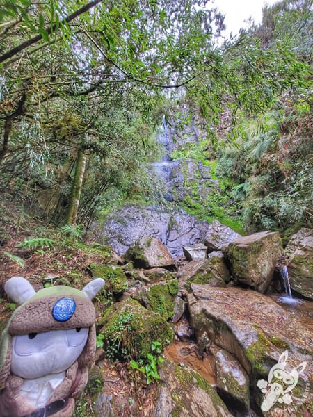 Cascata que Congela | Urupema - Santa Catarina - Brasil | FredLee Na Estrada Cascata que Congela | Urupema - Santa Catarina - Brasil | FredLee Na Estrada