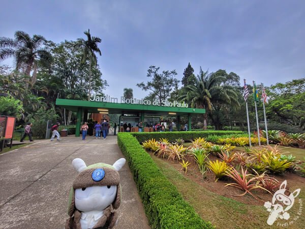 Jardim Botânico de São Paulo | São Paulo - São Paulo - Brasil | FredLee Na Estrada