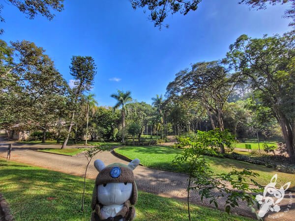 Jardim de Lineu - Jardim Botânico de São Paulo | São Paulo - São Paulo - Brasil | FredLee Na Estrada