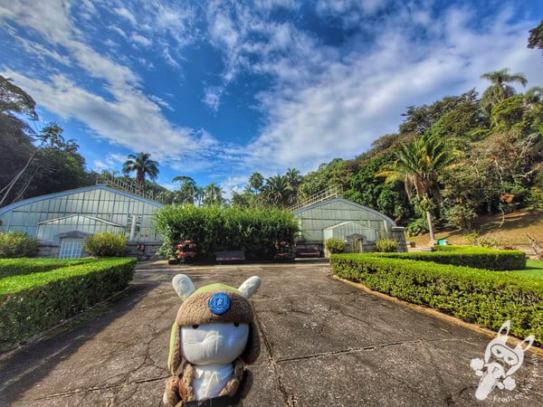 Estufas Dr. Frederico Carlos Hoehne - Jardim Botânico de São Paulo | São Paulo - São Paulo - Brasil | FredLee Na Estrada
