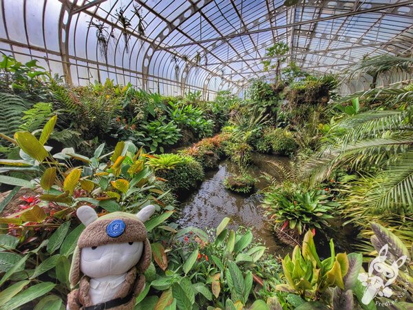 Estufas Dr. Frederico Carlos Hoehne - Jardim Botânico de São Paulo | São Paulo - São Paulo - Brasil | FredLee Na Estrada