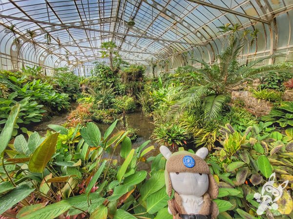 Estufas Dr. Frederico Carlos Hoehne - Jardim Botânico de São Paulo | São Paulo - São Paulo - Brasil | FredLee Na Estrada