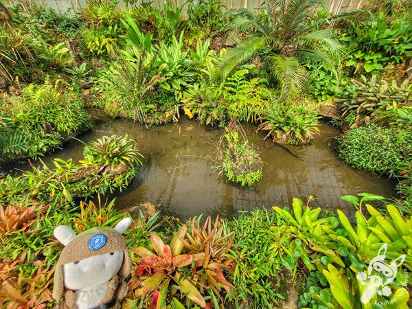 Estufas Dr. Frederico Carlos Hoehne - Jardim Botânico de São Paulo | São Paulo - São Paulo - Brasil | FredLee Na Estrada
