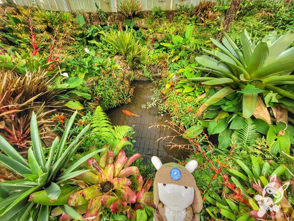 Estufas Dr. Frederico Carlos Hoehne - Jardim Botânico de São Paulo | São Paulo - São Paulo - Brasil | FredLee Na Estrada