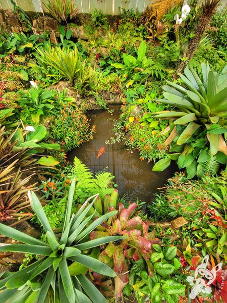 Estufas Dr. Frederico Carlos Hoehne - Jardim Botânico de São Paulo | São Paulo - São Paulo - Brasil | FredLee Na Estrada