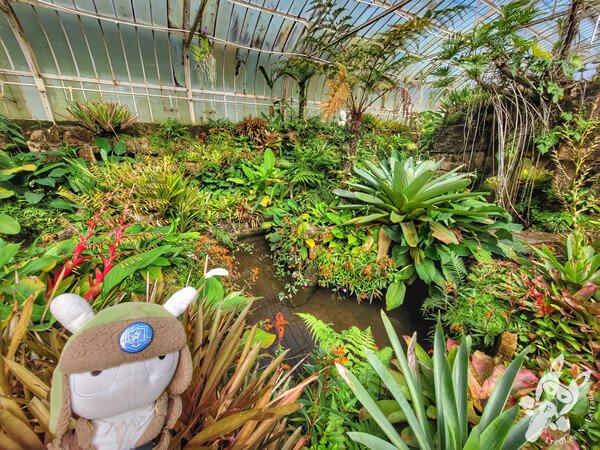 Estufas Dr. Frederico Carlos Hoehne - Jardim Botânico de São Paulo | São Paulo - São Paulo - Brasil | FredLee Na Estrada