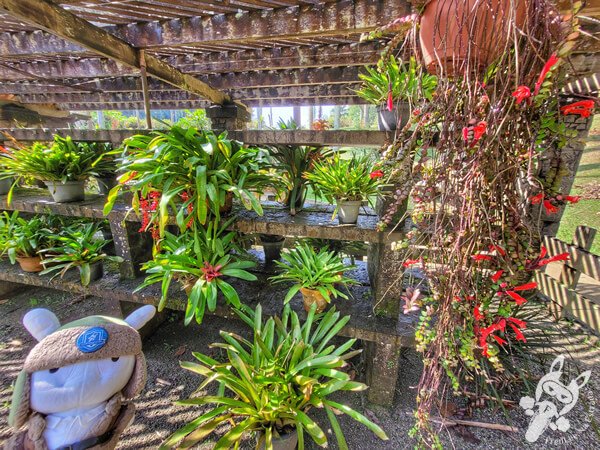 Jardim Botânico de São Paulo | São Paulo - São Paulo - Brasil | FredLee Na Estrada
