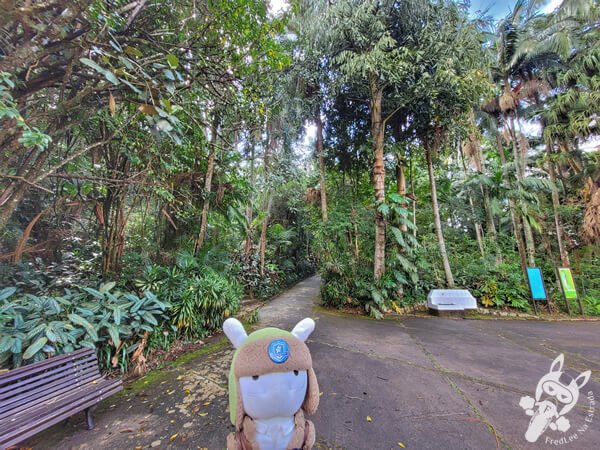 Palmeto Histórico - Jardim Botânico de São Paulo | São Paulo - São Paulo - Brasil | FredLee Na Estrada