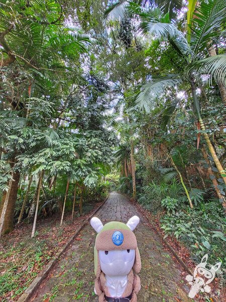 Palmeto Histórico - Jardim Botânico de São Paulo | São Paulo - São Paulo - Brasil | FredLee Na Estrada