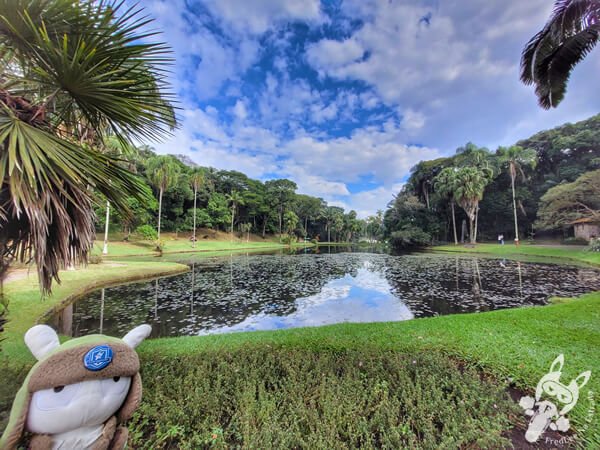 Lago das Ninfeias - Jardim Botânico de São Paulo | São Paulo - São Paulo - Brasil | FredLee Na Estrada