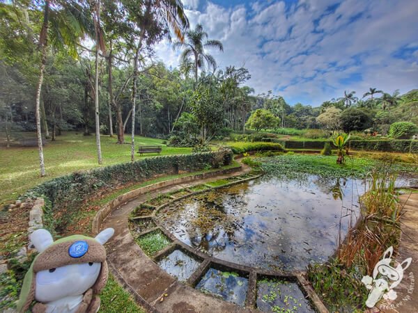 Hidrofitotério - Jardim Botânico de São Paulo | São Paulo - São Paulo - Brasil | FredLee Na Estrada