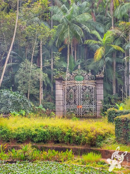 Portão Histórico do Jardim Botânico de São Paulo | São Paulo - São Paulo - Brasil | FredLee Na Estrada