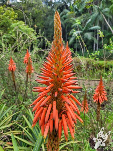 Jardim dos Sentidos - Jardim Botânico de São Paulo | São Paulo - São Paulo - Brasil | FredLee Na Estrada