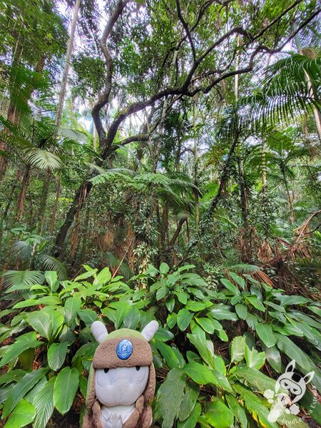 Jardim Botânico de São Paulo | São Paulo - São Paulo - Brasil | FredLee Na Estrada