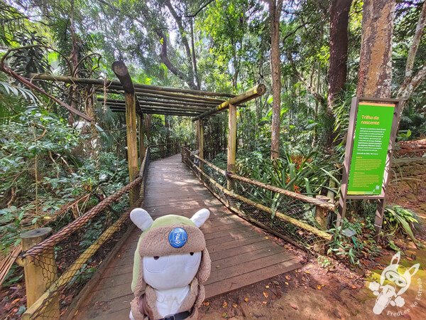 Trilha da Nascente - Parque Estadual das Fontes do Ipiranga - Jardim Botânico de São Paulo | São Paulo - São Paulo - Brasil | FredLee Na Estrada