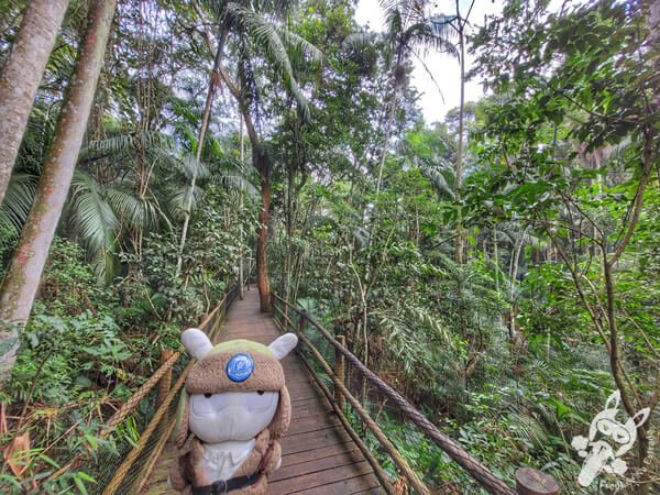 Trilha da Nascente - Parque Estadual das Fontes do Ipiranga - Jardim Botânico de São Paulo | São Paulo - São Paulo - Brasil | FredLee Na Estrada
