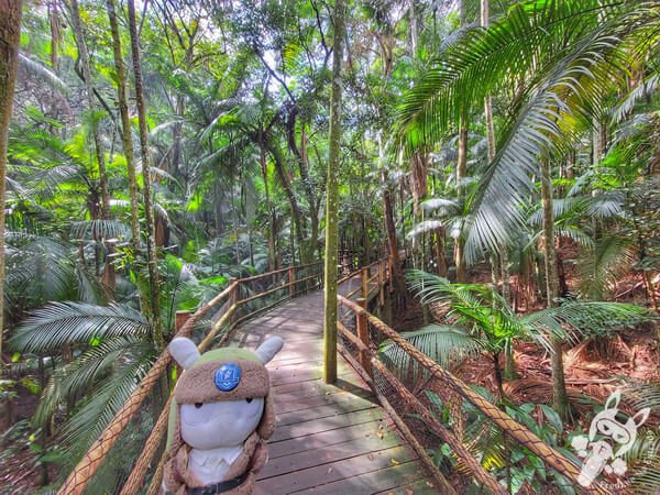 Trilha da Nascente - Parque Estadual das Fontes do Ipiranga - Jardim Botânico de São Paulo | São Paulo - São Paulo - Brasil | FredLee Na Estrada