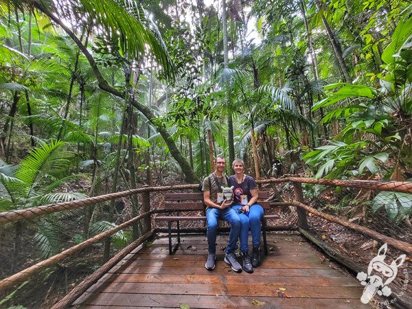 Trilha da Nascente - Parque Estadual das Fontes do Ipiranga - Jardim Botânico de São Paulo | São Paulo - São Paulo - Brasil | FredLee Na Estrada
