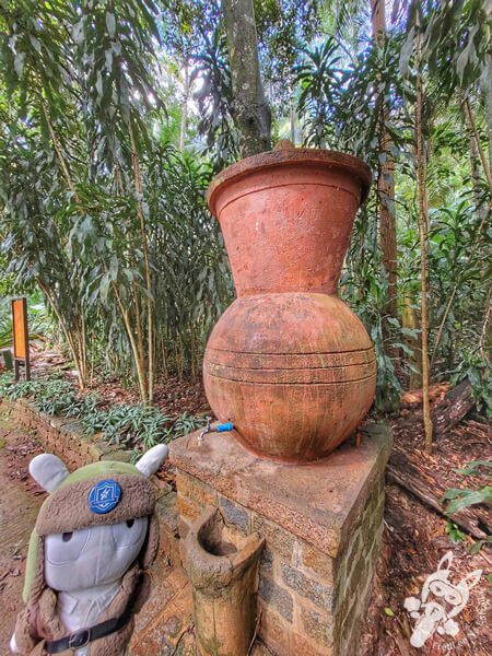Bebedouro de barro na Trilha de Terra Batida - Jardim Botânico de São Paulo | São Paulo - São Paulo - Brasil | FredLee Na Estrada