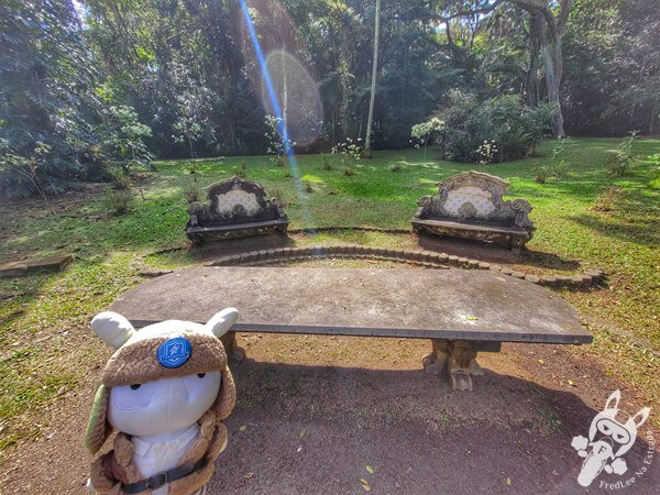 Jardim Botânico de São Paulo | São Paulo - São Paulo - Brasil | FredLee Na Estrada