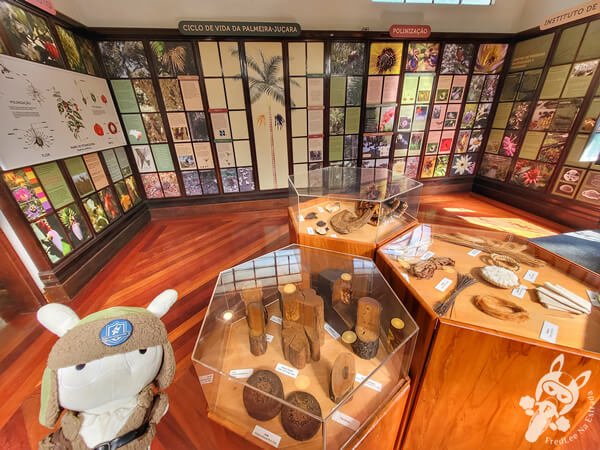 Museu Botânico Dr. João Barbosa Rodrigues - Jardim Botânico de São Paulo | São Paulo - São Paulo - Brasil | FredLee Na Estrada