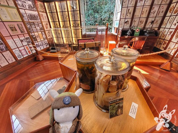 Museu Botânico Dr. João Barbosa Rodrigues - Jardim Botânico de São Paulo | São Paulo - São Paulo - Brasil | FredLee Na Estrada