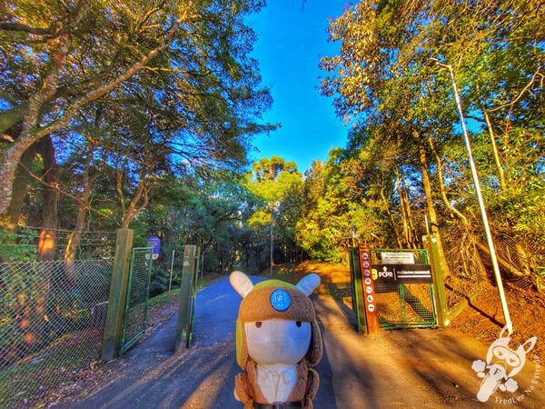 Parque Municipal Barreirinha | Curitiba - Paraná - Brasil | FredLee Na Estrada Parque Municipal Barreirinha | Curitiba - Paraná - Brasil | FredLee Na Estrada
