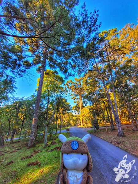 Parque Municipal Barreirinha | Curitiba - Paraná - Brasil | FredLee Na Estrada Parque Municipal Barreirinha | Curitiba - Paraná - Brasil | FredLee Na Estrada