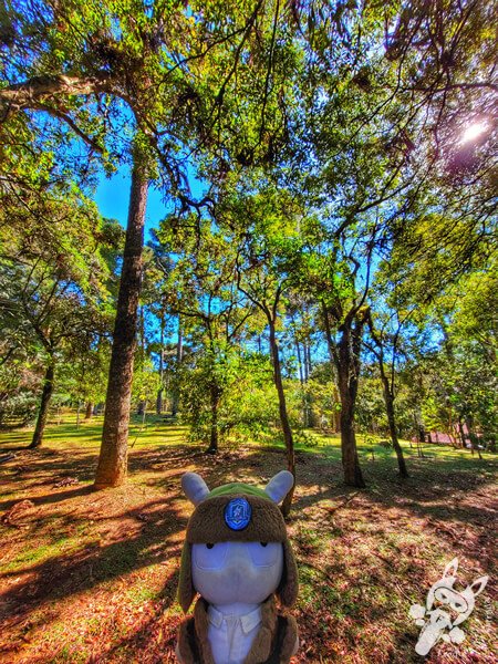 Parque Municipal Barreirinha | Curitiba - Paraná - Brasil | FredLee Na Estrada Parque Municipal Barreirinha | Curitiba - Paraná - Brasil | FredLee Na Estrada