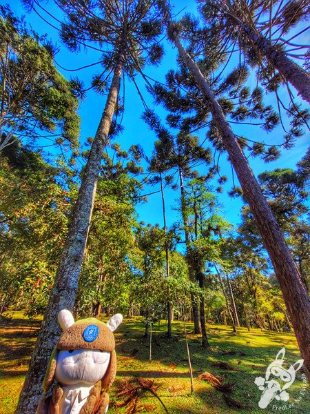 Parque Municipal Barreirinha | Curitiba - Paraná - Brasil | FredLee Na Estrada Parque Municipal Barreirinha | Curitiba - Paraná - Brasil | FredLee Na Estrada