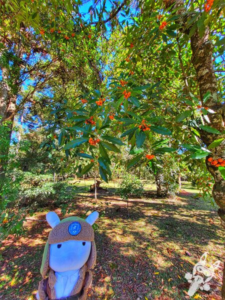 Parque Municipal Barreirinha | Curitiba - Paraná - Brasil | FredLee Na Estrada Parque Municipal Barreirinha | Curitiba - Paraná - Brasil | FredLee Na Estrada