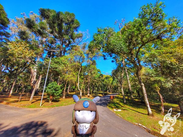 Parque Municipal Barreirinha | Curitiba - Paraná - Brasil | FredLee Na Estrada Parque Municipal Barreirinha | Curitiba - Paraná - Brasil | FredLee Na Estrada