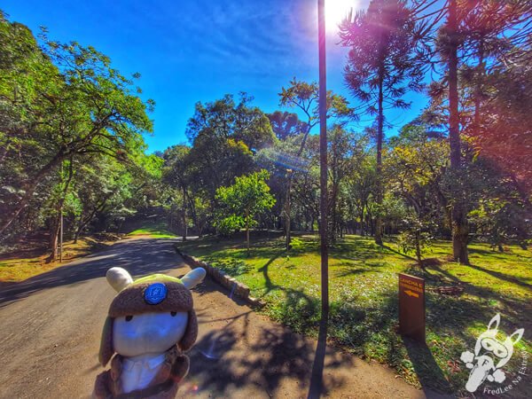 Parque Municipal Barreirinha | Curitiba - Paraná - Brasil | FredLee Na Estrada Parque Municipal Barreirinha | Curitiba - Paraná - Brasil | FredLee Na Estrada