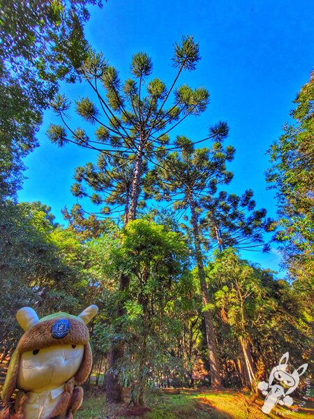 Parque Municipal Barreirinha | Curitiba - Paraná - Brasil | FredLee Na Estrada Parque Municipal Barreirinha | Curitiba - Paraná - Brasil | FredLee Na Estrada