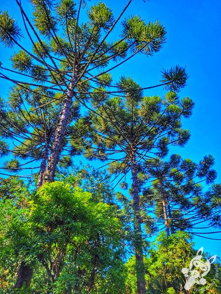 Parque Municipal Barreirinha | Curitiba - Paraná - Brasil | FredLee Na Estrada Parque Municipal Barreirinha | Curitiba - Paraná - Brasil | FredLee Na Estrada