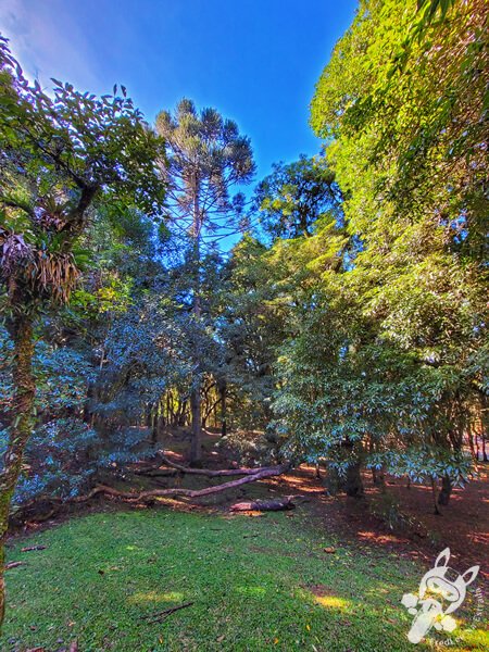Parque Municipal Barreirinha | Curitiba - Paraná - Brasil | FredLee Na Estrada Parque Municipal Barreirinha | Curitiba - Paraná - Brasil | FredLee Na Estrada