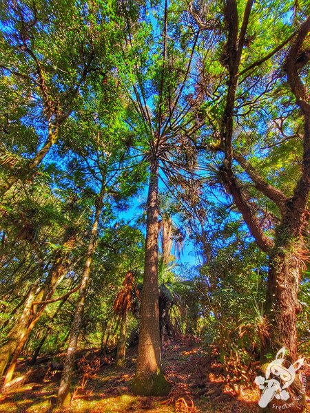 Parque Municipal Barreirinha | Curitiba - Paraná - Brasil | FredLee Na Estrada Parque Municipal Barreirinha | Curitiba - Paraná - Brasil | FredLee Na Estrada