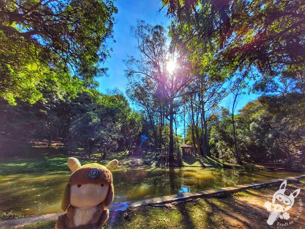 Parque Municipal Barreirinha | Curitiba - Paraná - Brasil | FredLee Na Estrada Parque Municipal Barreirinha | Curitiba - Paraná - Brasil | FredLee Na Estrada