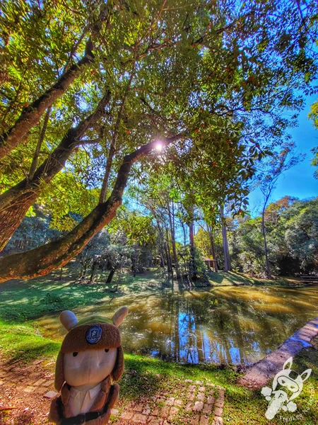 Lago localizado ao lado da área de quiosques e churrasqueiras do Parque Municipal Barreirinha, em Curitiba, Paraná, Brasil. Foto: FredLee Na Estrada.